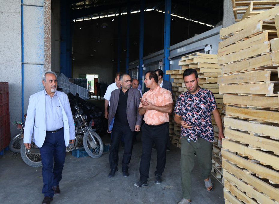 مهندس عبدیان در بازدید از پایانه های صادرات کشاورزی استان قزوین: محصولات تولیدی جهت دستیابی به بازارهای صادراتی مناسب  می بایست دارای استانداردهای مورد تایید کشورهای مقصد باشند تصویر شماره-01