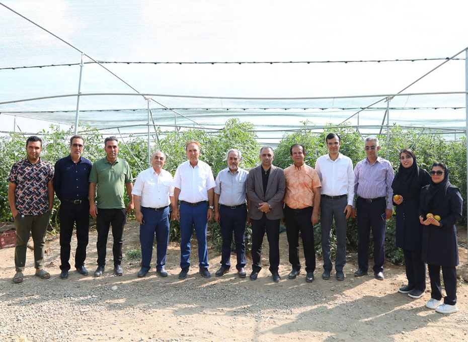 مهندس عبدیان در بازدید از پایانه های صادرات کشاورزی استان قزوین: محصولات تولیدی جهت دستیابی به بازارهای صادراتی مناسب  می بایست دارای استانداردهای مورد تایید کشورهای مقصد باشند تصویر شماره-02